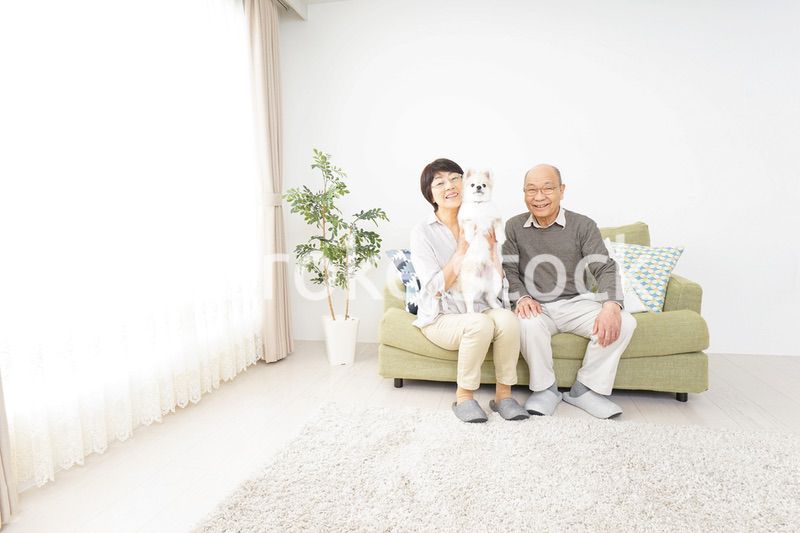 犬を飼うシニア夫婦