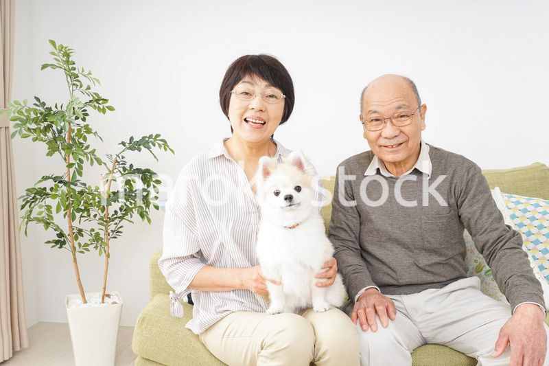 犬を飼うシニア夫婦