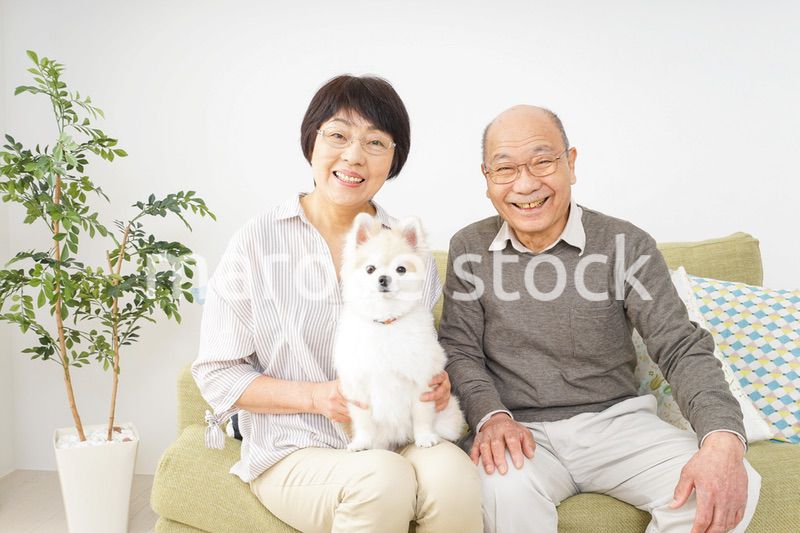 犬を飼うシニア夫婦