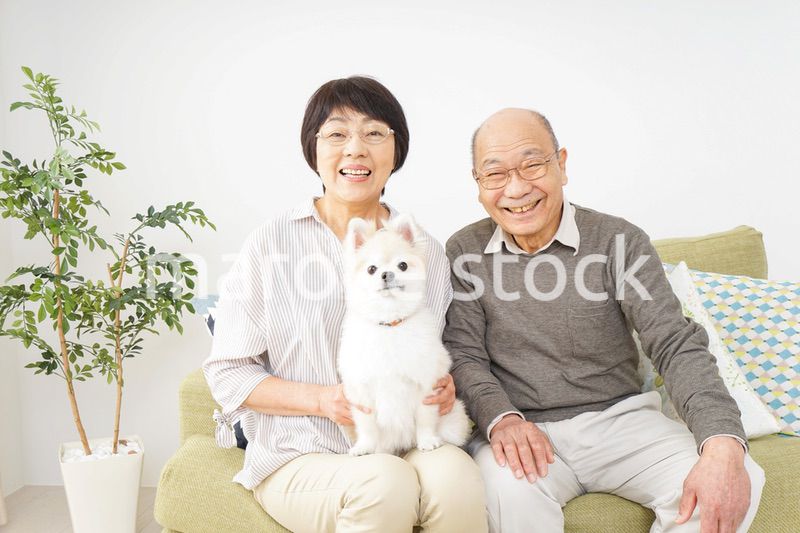 犬を飼うシニア夫婦