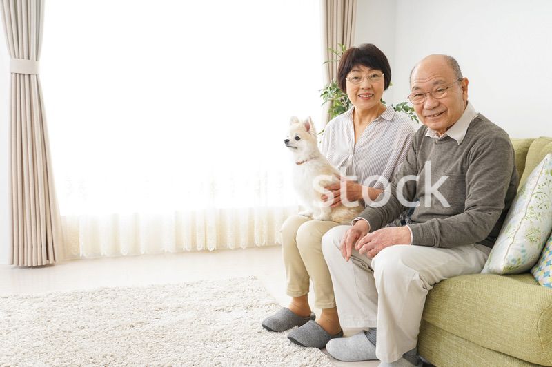 犬を飼うシニア夫婦