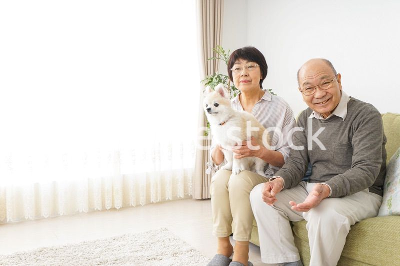 犬を飼うシニア夫婦