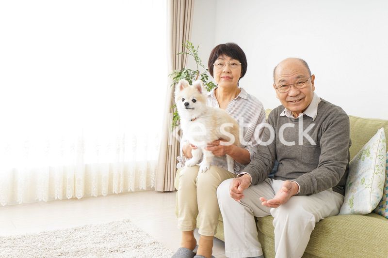 犬を飼うシニア夫婦