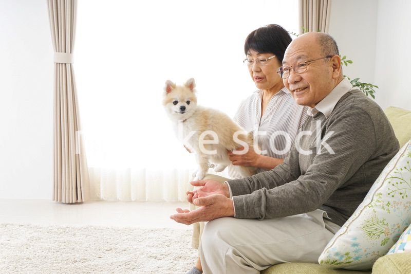 犬を飼うシニア夫婦