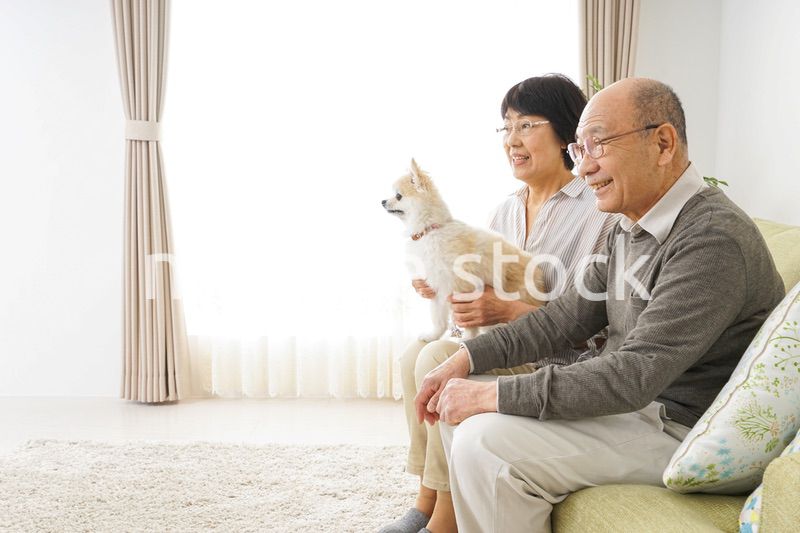 犬を飼うシニア夫婦