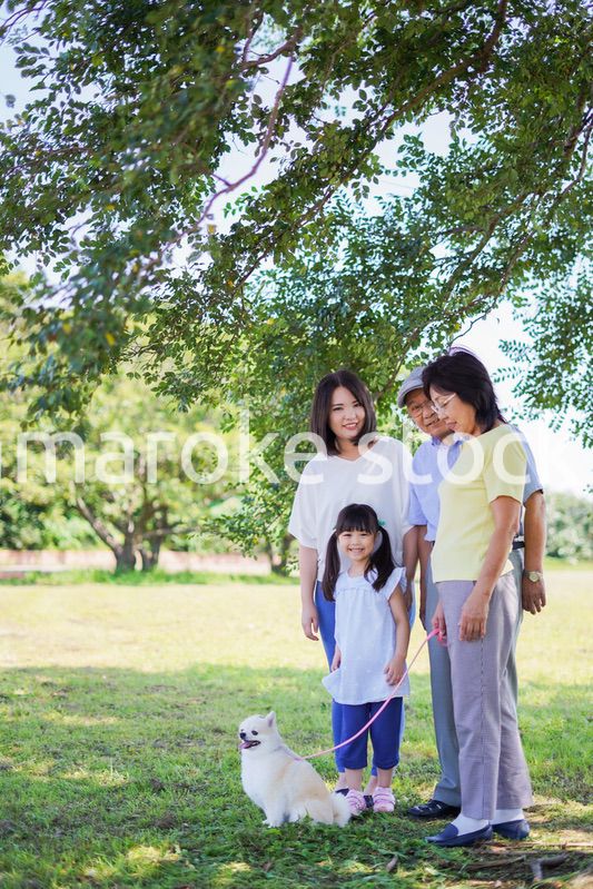公園で楽しく過ごす家族