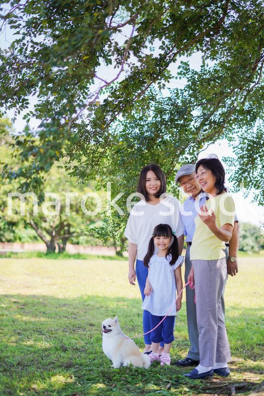 公園で楽しく過ごす家族