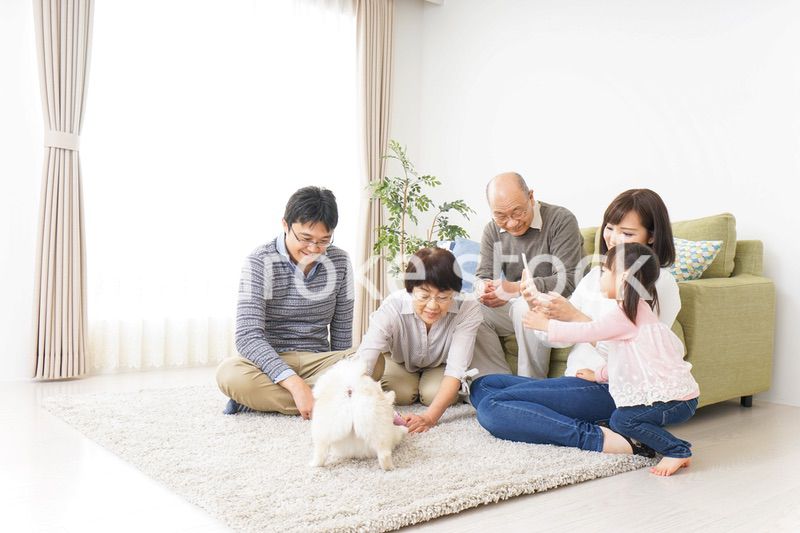 家族で犬と遊ぶ幸せな三世代ファミリー