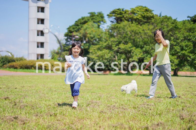 おばあちゃんと犬の散歩をする小さな女の子