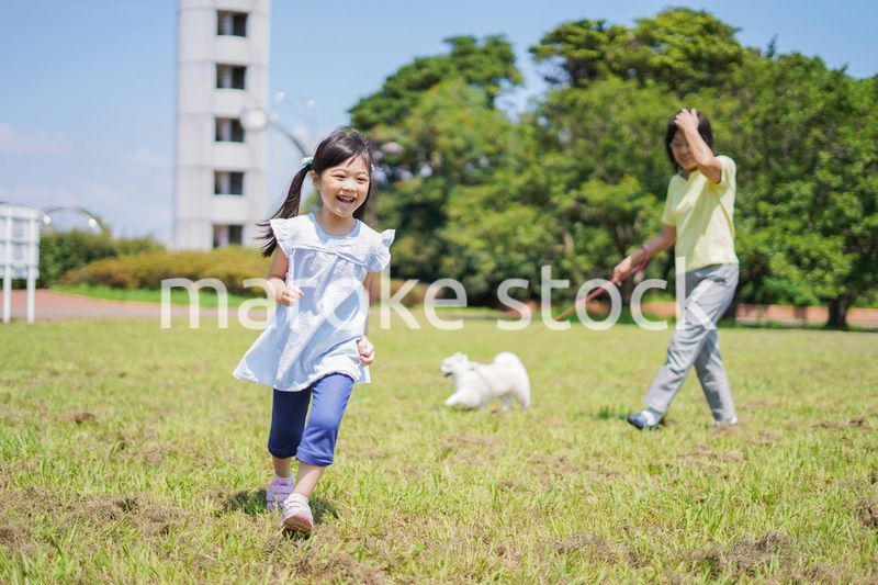 おばあちゃんと犬の散歩をする小さな女の子