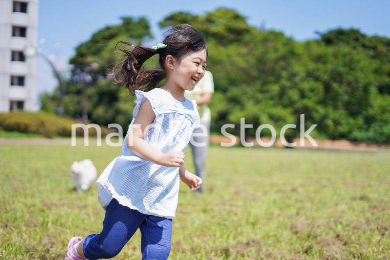 犬を散歩する小さな女の子