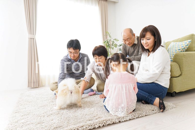 家族で犬と遊ぶ幸せな三世代ファミリー