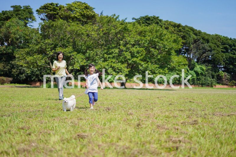 おばあちゃんと犬の散歩をする小さな女の子