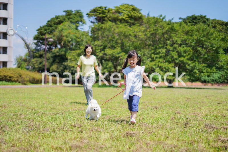 おばあちゃんと犬の散歩をする小さな女の子