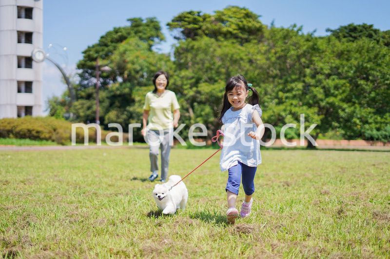 おばあちゃんと犬の散歩をする小さな女の子