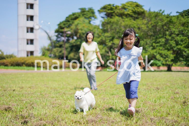 おばあちゃんと犬の散歩をする小さな女の子