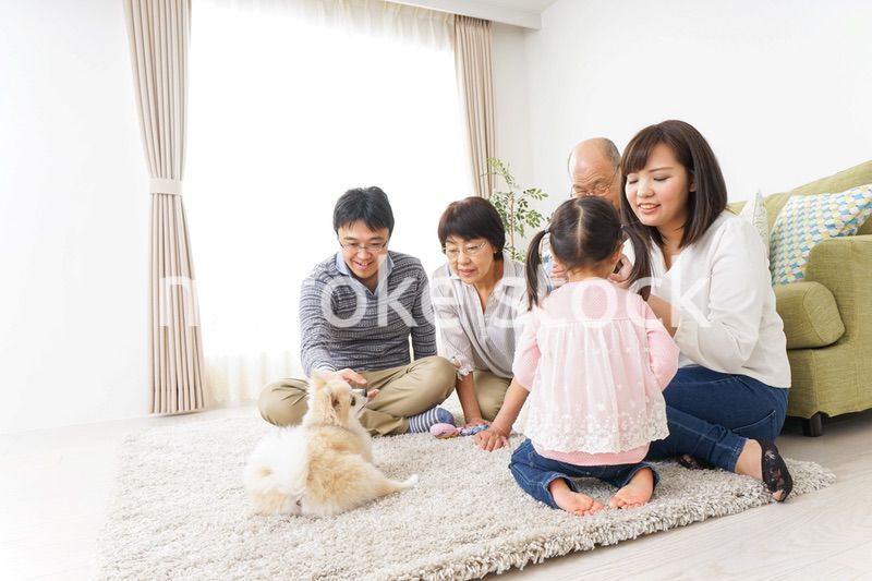 家族で犬と遊ぶ幸せな三世代ファミリー