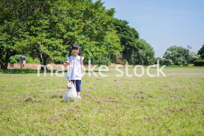犬を散歩する小さな女の子