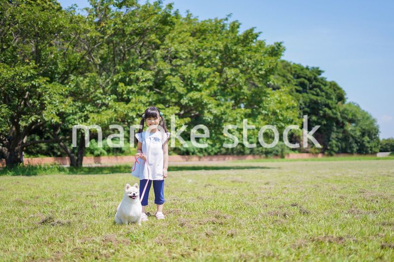 犬を散歩する小さな女の子