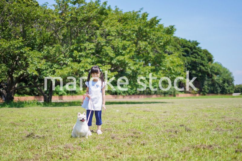 犬を散歩する小さな女の子