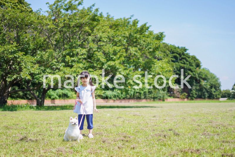 犬を散歩する小さな女の子