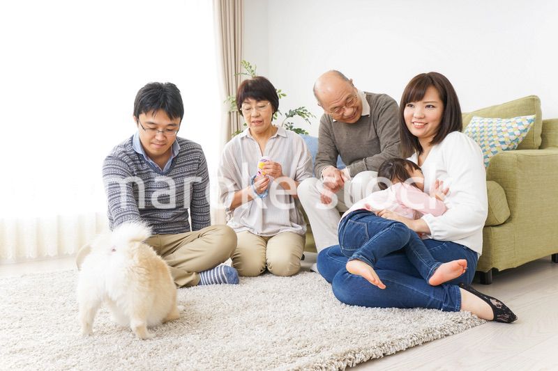 家族で犬と遊ぶ幸せな三世代ファミリー