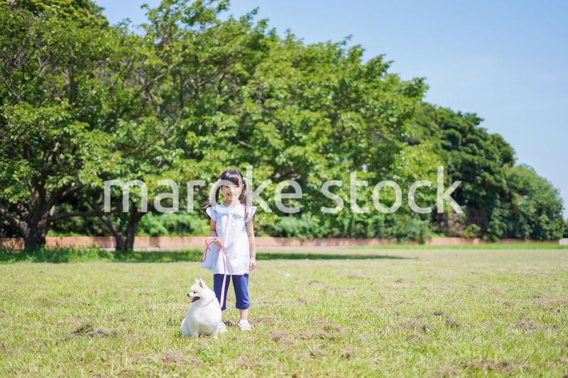 犬を散歩する小さな女の子