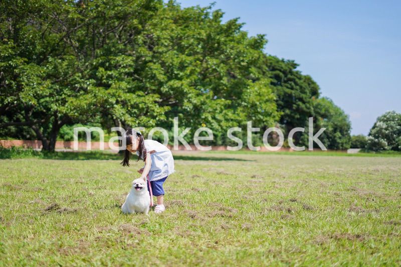 犬を散歩する小さな女の子