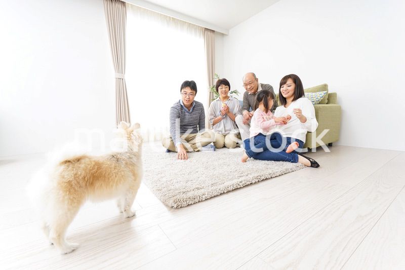 家族で犬と遊ぶ幸せな三世代ファミリー