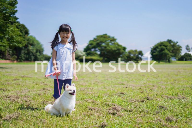 犬を散歩する小さな女の子