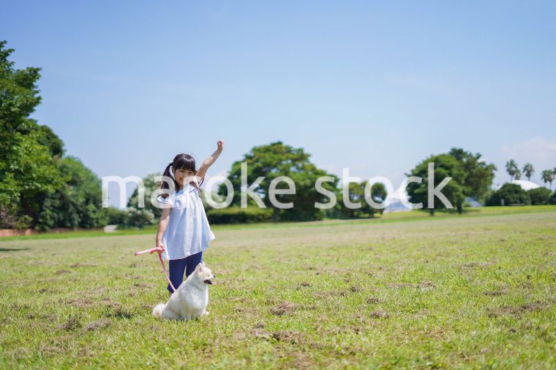 犬を散歩する小さな女の子