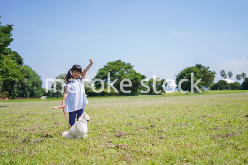 犬を散歩する小さな女の子