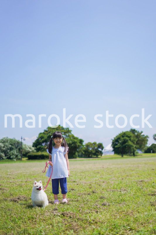 犬を散歩する小さな女の子