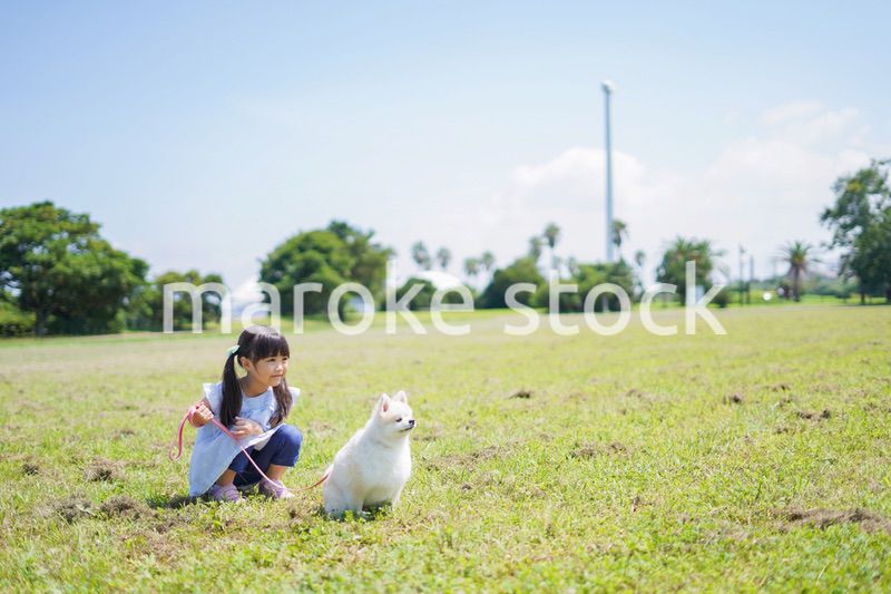 犬を散歩する小さな女の子