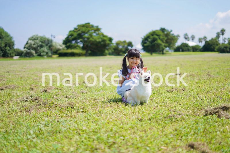 犬を散歩する小さな女の子