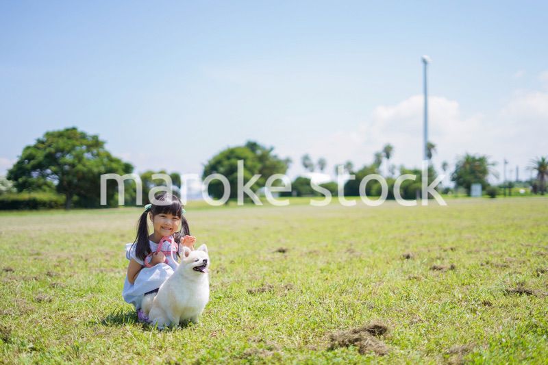 犬を散歩する小さな女の子