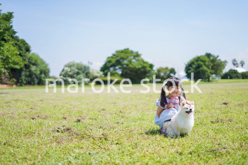 犬を散歩する小さな女の子