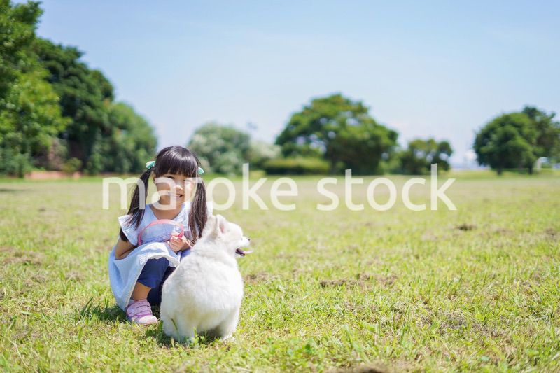 犬を散歩する小さな女の子