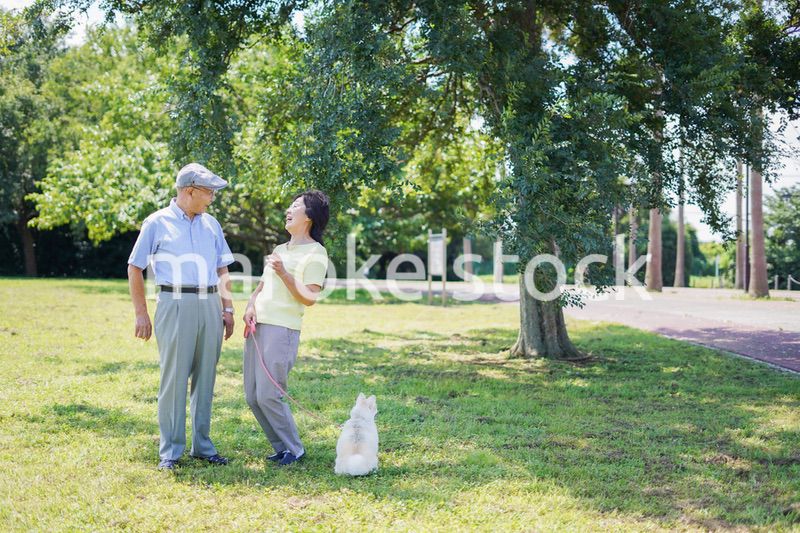 夫婦で犬の散歩をする元気なシニア