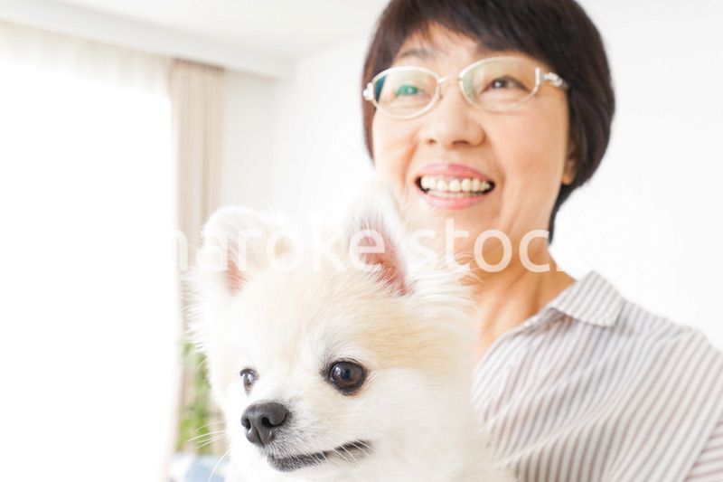 犬を飼うシニア女性