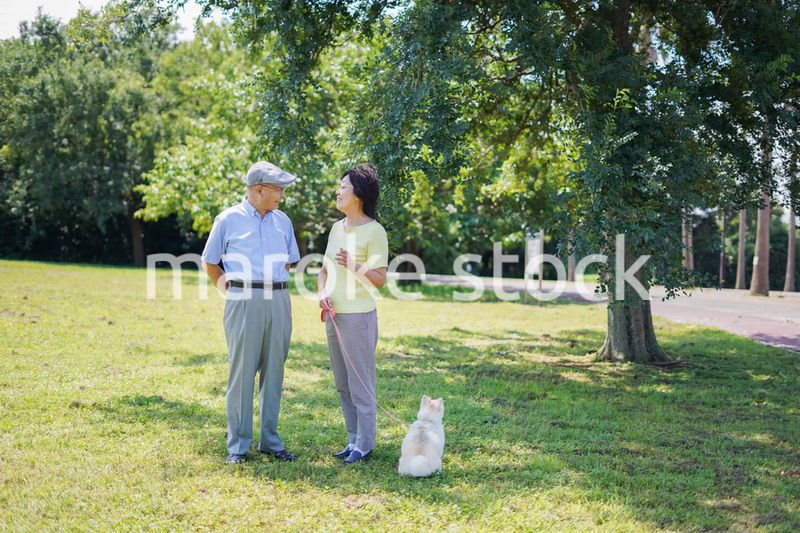 夫婦で犬の散歩をする元気なシニア