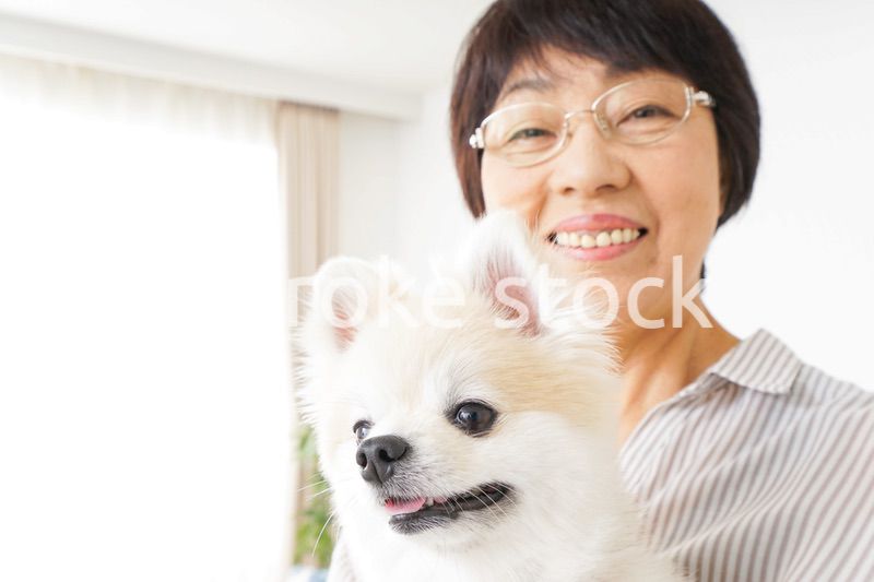 犬を飼うシニア女性