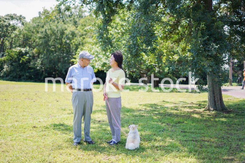 夫婦で犬の散歩をする元気なシニア