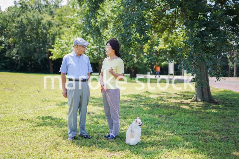 夫婦で犬の散歩をする元気なシニア
