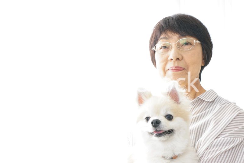 犬を飼うシニア女性