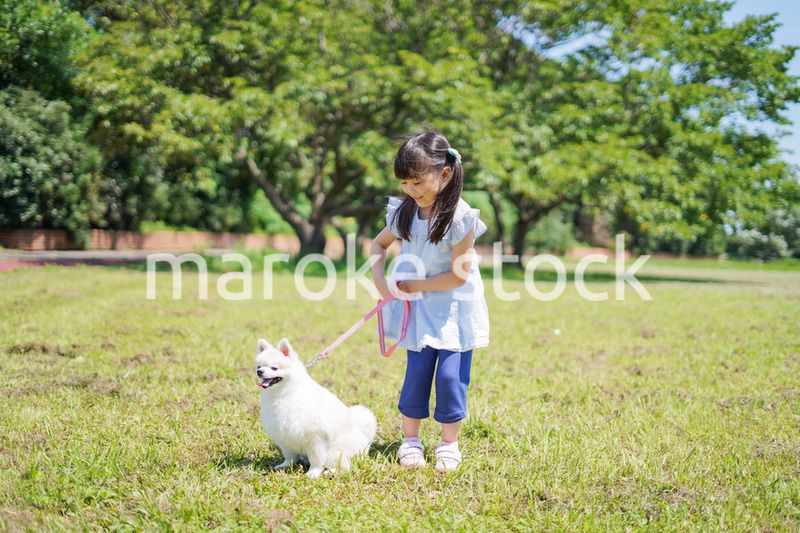 犬を散歩する小さな女の子