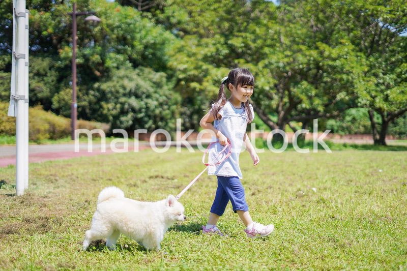 犬を散歩する小さな女の子