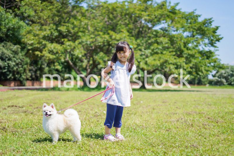 犬を散歩する小さな女の子