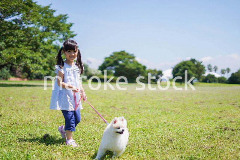 犬を散歩する小さな女の子