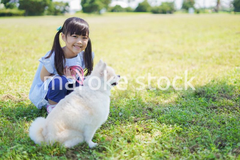 犬を散歩する小さな女の子